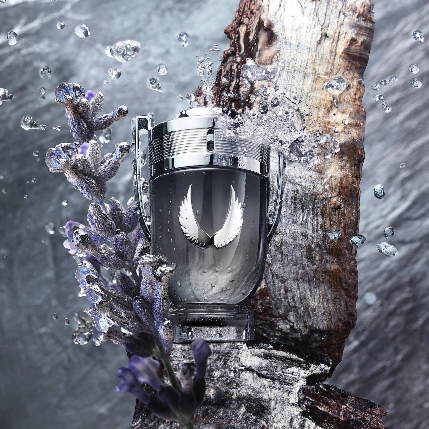 Invictus Platinum - Eau de Parfum