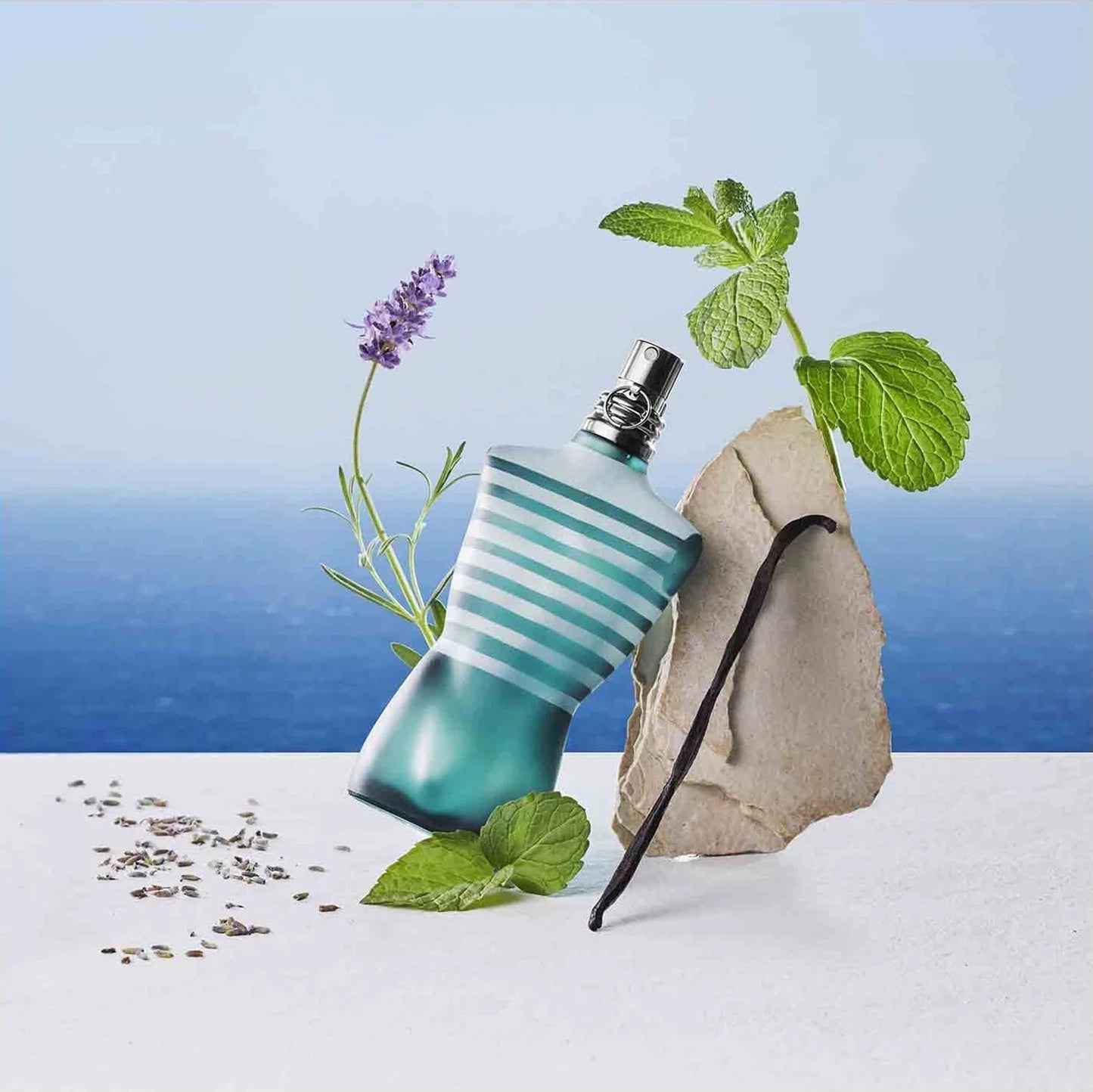 Le Male - Eau de Toilette