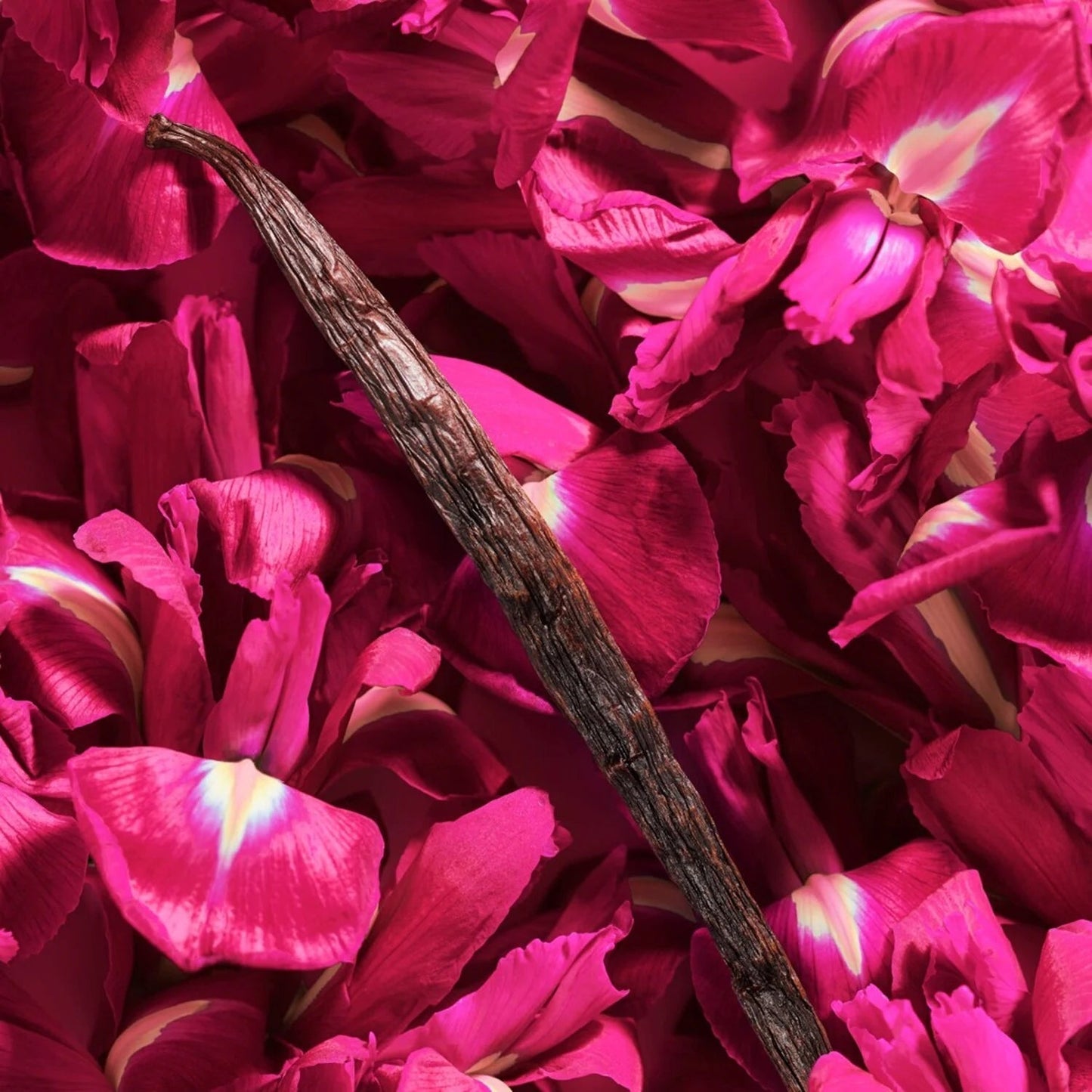 La Vie est Belle Intensément - Eau de Parfum Intense